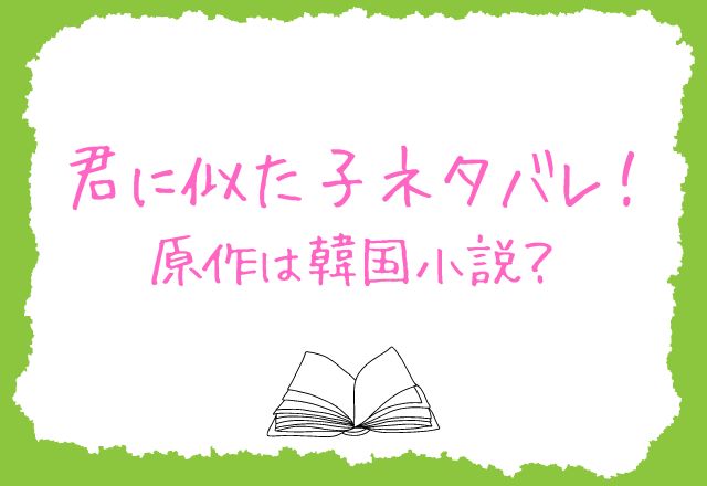 君に似た子ネタバレ！原作は韓国小説？